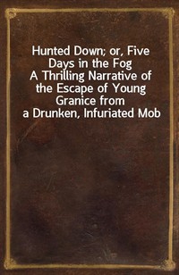 Hunted Down; or, Five Days in the FogA Thrilling Narrative of the Escape of Young Granice from a Drunken, Infuriated Mob (커버이미지)
