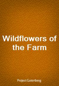 Wildflowers of the Farm (Ŀ̹)