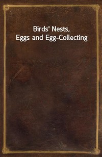 Birds' Nests, Eggs and Egg-Collecting (커버이미지)