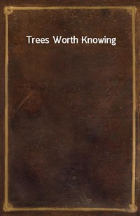 Trees Worth Knowing (Ŀ̹)