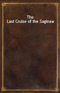 The Last Cruise of the Saginaw (Ŀ̹)