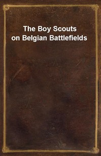 The Boy Scouts on Belgian Battlefields (Ŀ̹)