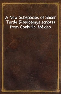 A New Subspecies of Slider Turtle (Pseudemys scripta) from Coahuila, M (커버이미지)