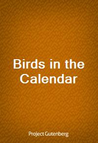 Birds in the Calendar (커버이미지)