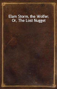 Elam Storm, the Wolfer; Or, The Lost Nugget (커버이미지)