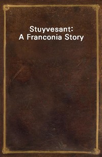 Stuyvesant: A Franconia Story (Ŀ̹)