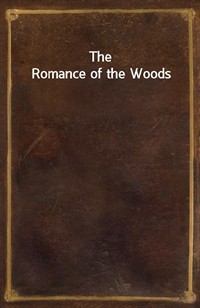 The Romance of the Woods (Ŀ̹)