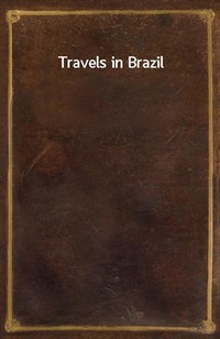 Travels in Brazil (Ŀ̹)