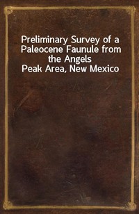 Preliminary Survey of a Paleocene Faunule from the Angels Peak Area, New Mexico (Ŀ̹)