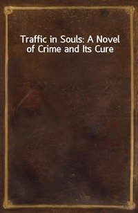 Traffic in Souls: A Novel of Crime and Its Cure (Ŀ̹)