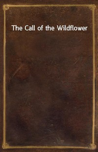 The Call of the Wildflower (Ŀ̹)