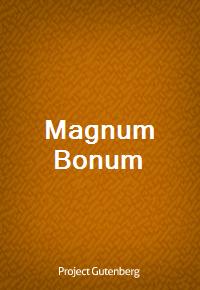 Magnum Bonum (Ŀ̹)