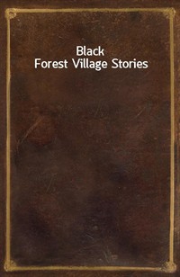 Black Forest Village Stories (커버이미지)