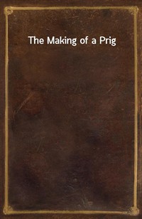 The Making of a Prig (Ŀ̹)