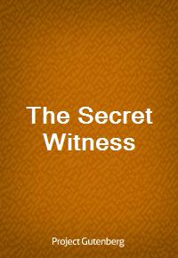 The Secret Witness (Ŀ̹)