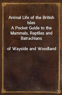Animal Life of the British IslesA Pocket Guide to the Mammals, Reptiles and Batrachiansof Wayside and Woodland (커버이미지)