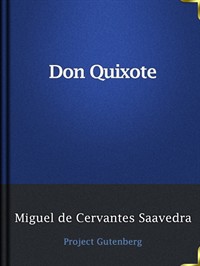 Don Quixote (커버이미지)