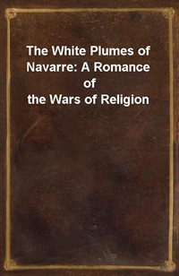 The White Plumes of Navarre: A Romance of the Wars of Religion (Ŀ̹)