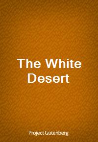 The White Desert (Ŀ̹)