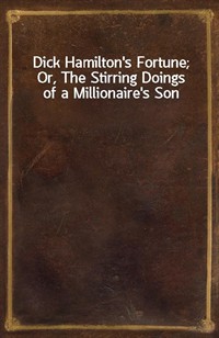 Dick Hamilton's Fortune; Or, The Stirring Doings of a Millionaire's Son (커버이미지)