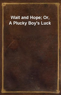 Wait and Hope; Or, A Plucky Boy's Luck (Ŀ̹)