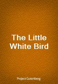 The Little White Bird (Ŀ̹)