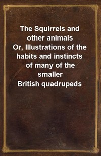 The Squirrels and other animalsOr, Illustrations of the habits and instincts of many of the smaller British quadrupeds (Ŀ̹)