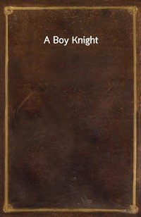 A Boy Knight (커버이미지)