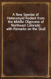 A New Species of Heteromyid Rodent from the Middle Oligocene of Northeast Colorado with Remarks on the Skull (커버이미지)