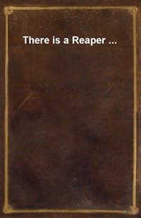 There is a Reaper ... (Ŀ̹)