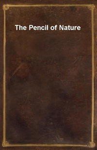 The Pencil of Nature (Ŀ̹)