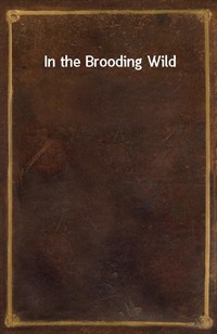 In the Brooding Wild (커버이미지)