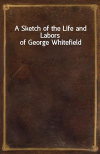 A Sketch of the Life and Labors of George Whitefield (커버이미지)