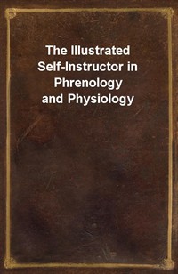 The Illustrated Self-Instructor in Phrenology and Physiology (Ŀ̹)