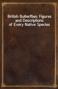 British Butterflies: Figures and Descriptions of Every Native Species (커버이미지)