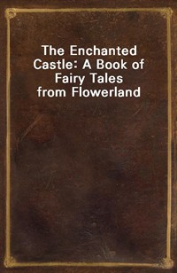 The Enchanted Castle: A Book of Fairy Tales from Flowerland (Ŀ̹)