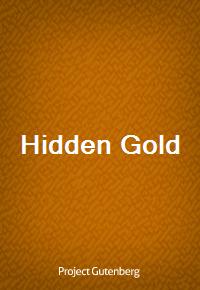 Hidden Gold (커버이미지)