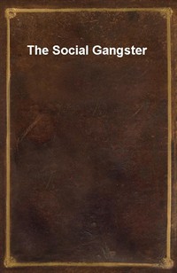 The Social Gangster (Ŀ̹)