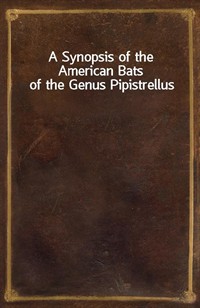A Synopsis of the American Bats of the Genus Pipistrellus (커버이미지)