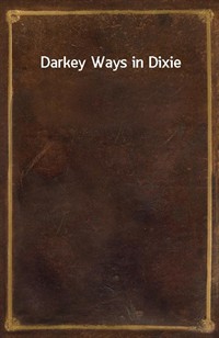Darkey Ways in Dixie (커버이미지)