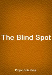 The Blind Spot (Ŀ̹)