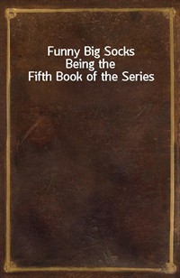 Funny Big SocksBeing the Fifth Book of the Series (커버이미지)