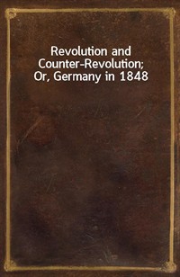 Revolution and Counter-Revolution; Or, Germany in 1848 (Ŀ̹)