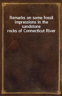 Remarks on some fossil impressions in the sandstone rocks of Connecticut River (Ŀ̹)