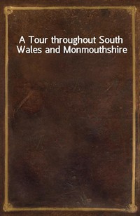 A Tour throughout South Wales and Monmouthshire (커버이미지)