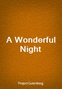 A Wonderful Night (커버이미지)