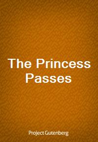 The Princess Passes (Ŀ̹)