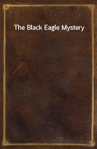 The Black Eagle Mystery (Ŀ̹)