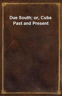 Due South; or, Cuba Past and Present (커버이미지)
