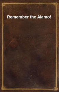 Remember the Alamo! (Ŀ̹)